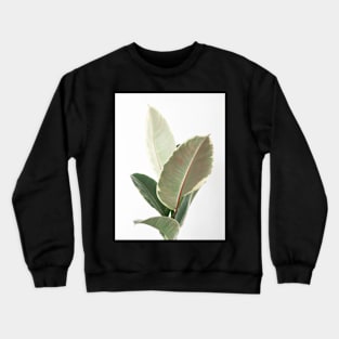 Ficus Tineke Crewneck Sweatshirt